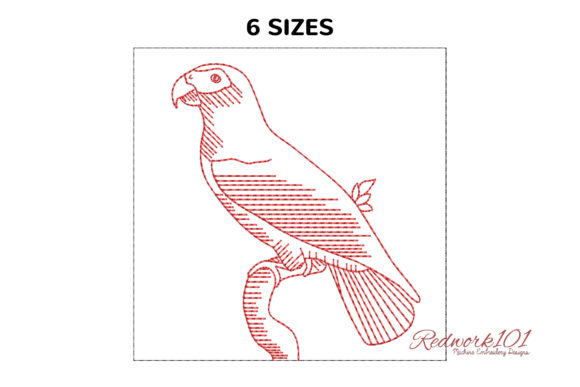 A Real Designer’s Take on the African Grey Parrot Embroidery Design
